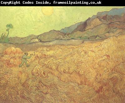 Vincent Van Gogh Wheat Fields with Reaper at Sunrise (nn04)